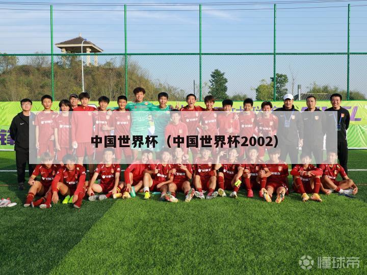 中国世界杯（中国世界杯2002）